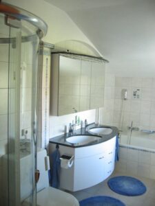 Plattenbeläge, Fabian Bopp in Birmenstorf -Bad-Renovation